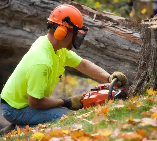 tree services Mescalero